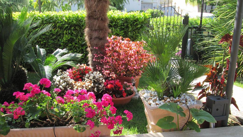 B&B Le Begonie Ascoli Piceno Luaran gambar